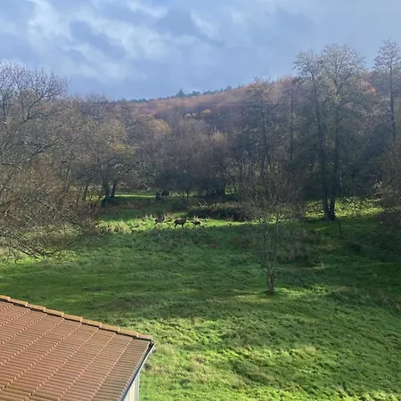 Casa Del Bosque 아파트 베하르