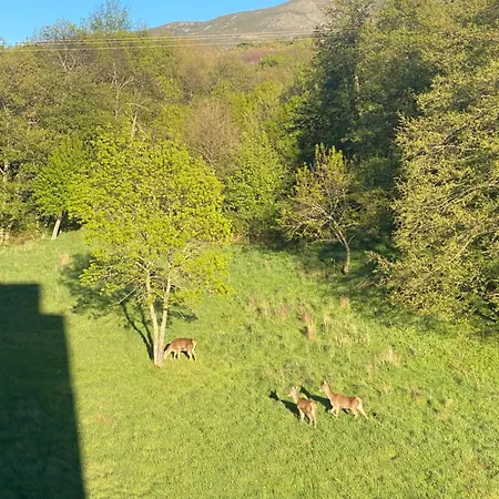 Casa Del Bosque 아파트 *