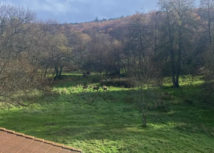 Casa Del Bosque 아파트 베하르