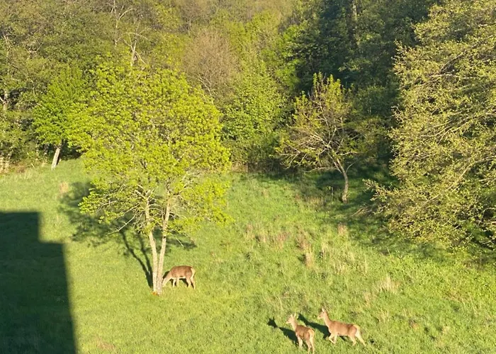 Casa Del Bosque 아파트 *